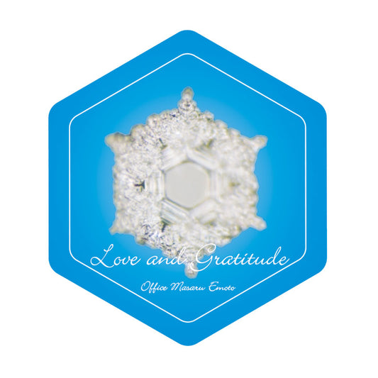 Water Crystal Magnet (4pc)