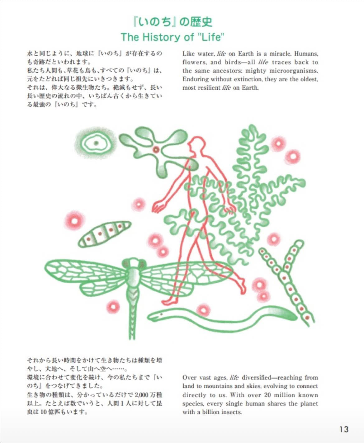 Messages from Life | Japanese-English Bilingual Edition